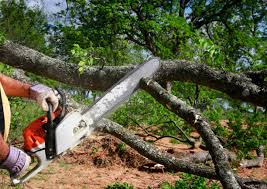 Seasonal Cleanup (Spring/Fall) in Marlboro, NY